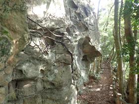古川岳遊歩道の奇岩