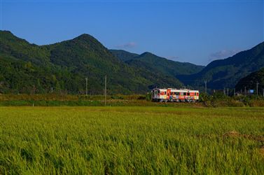 #佐々のまいにち松浦鉄道 佐々〜小浦佐々町沖田免のどかな景色を走る皆の生活の一部MR