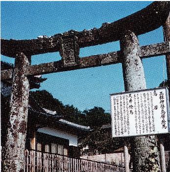 三柱神社の鳥居